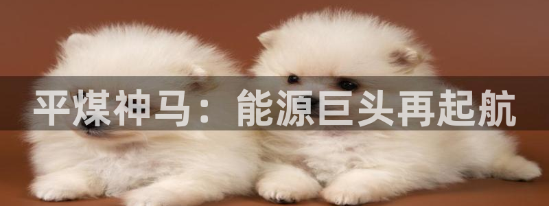 球盟会电子游戏平台：平煤神马：能源巨头再起航