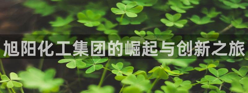 球盟会吧
