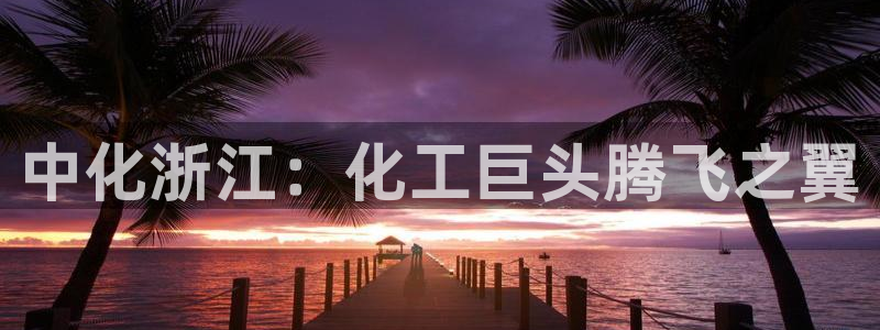 球盟会app：中化浙江：化工巨头腾飞之翼