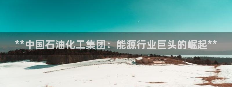 球盟会手机网页版：**中国石油化工集团：能源行业巨头的崛起*
