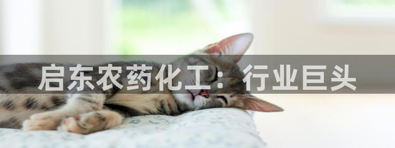 球盟会app