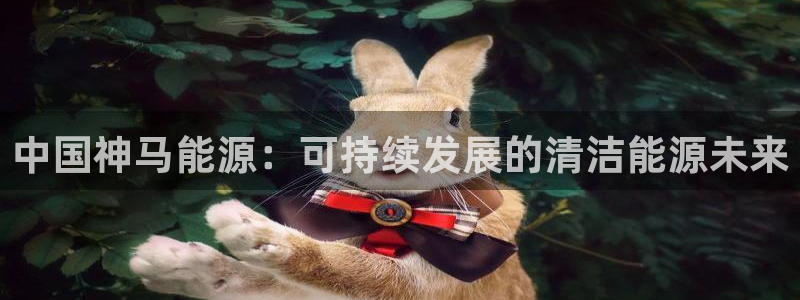 球盟会官方登录平台入口：中国神马能源：可持续发展的清洁能源未