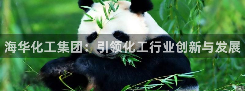 球盟会app入口