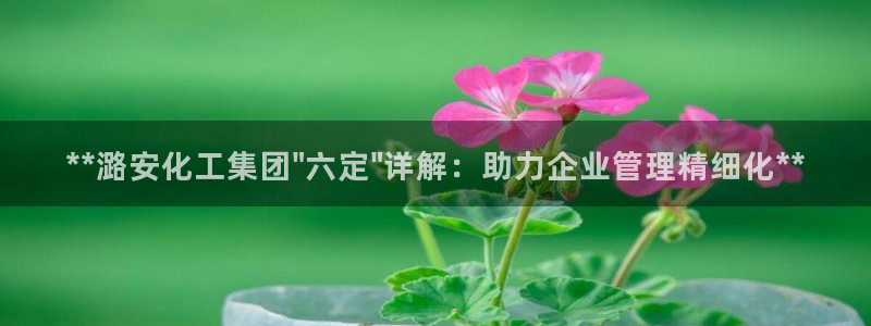 球盟会国际官网