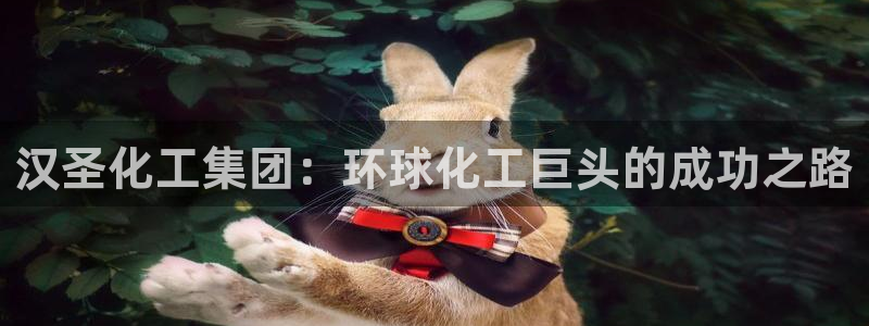 球盟会进不去