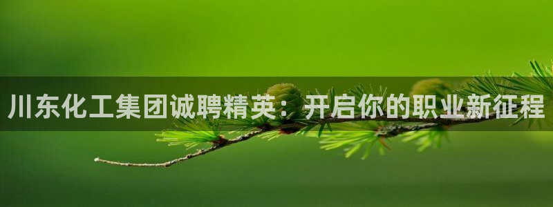 球盟会app网址多少