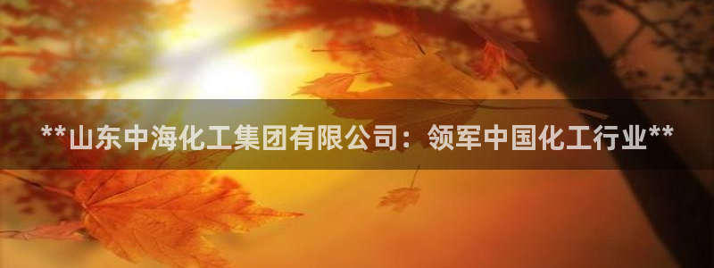 球盟会网页版