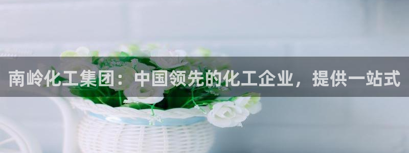 球盟会黑台子吗