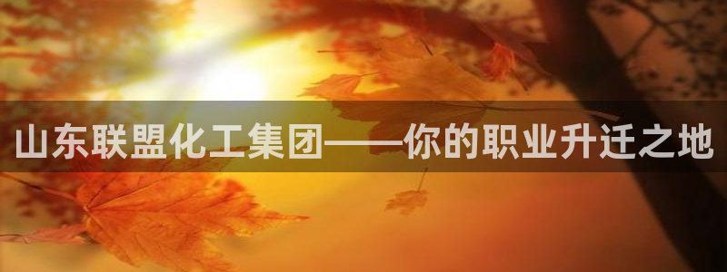 球盟会登录平台入口