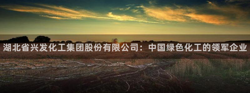 球盟会国际官网：湖北省兴发化工集团股份有限公司：中国绿色化工