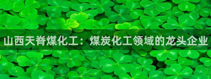 球盟会出款黑了