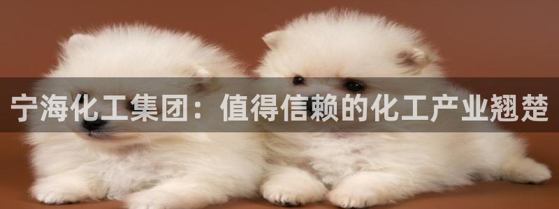 球盟会游戏