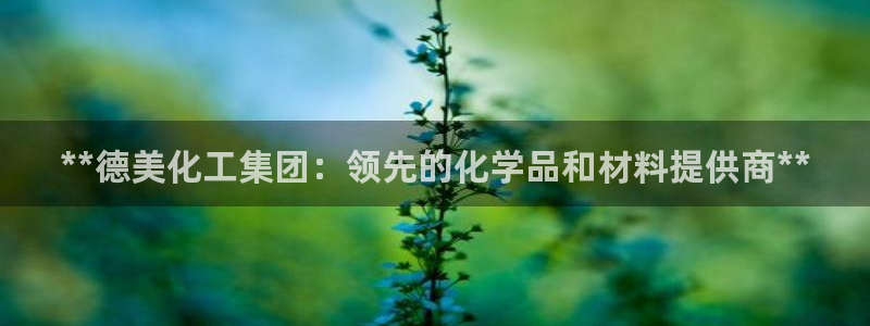 球盟会网页登录入口：**德美化工集团：领先的化学品和材料提供