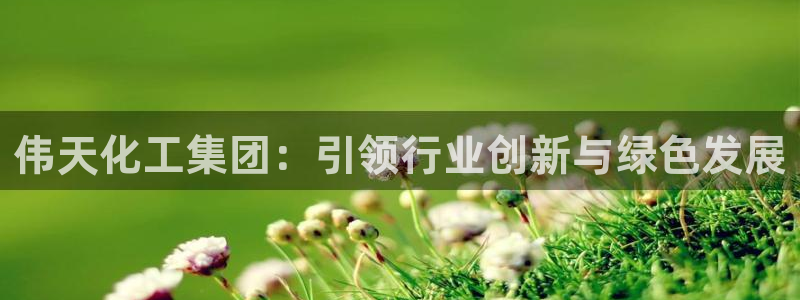 球盟会官网网页版