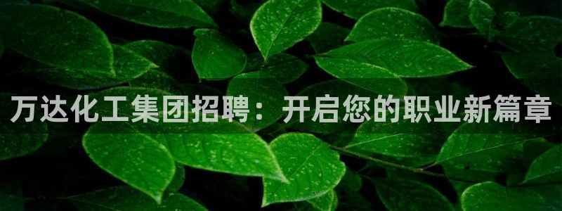 球盟会黑款吗知乎文章