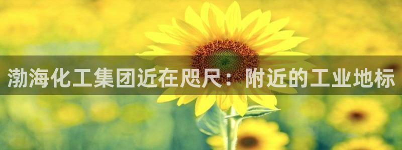 球盟会(中国)官方网站