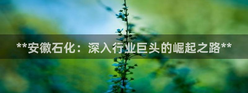 球盟会app最新地址下载