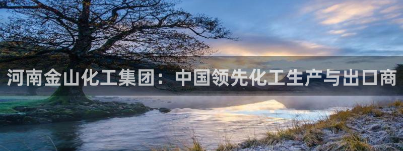 球盟会吧：河南金山化工集团：中国领先化工生产与出口商