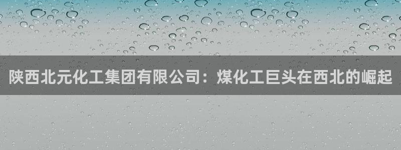 球盟会官方网站入口：陕西北元化工集团有限公司：煤化工巨头在西