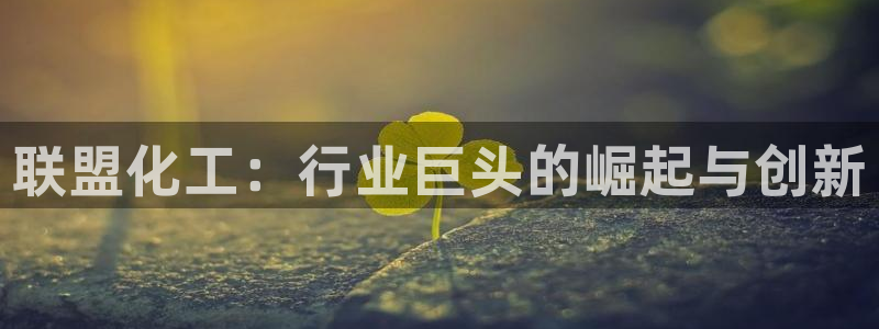 球盟会官方网站