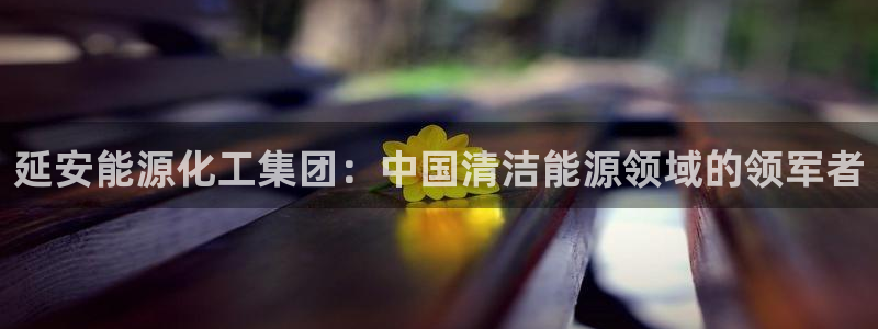 球盟会里面有打牌的嘛是真的吗：延安能源化工集团：中国清洁能源