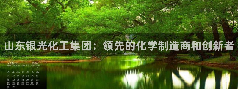 球盟会官方客服：山东银光化工集团：领先的化学制造商和创新者