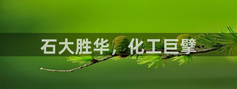 球盟会能提现吗安全吗