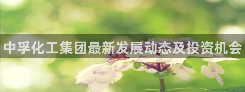 球盟会：中孚化工集团最新发展动态及投资机会