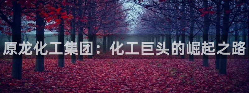球盟会官网网页版