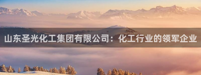 球盟会官方网站app：山东圣光化工集团有限公司：化工行业的领