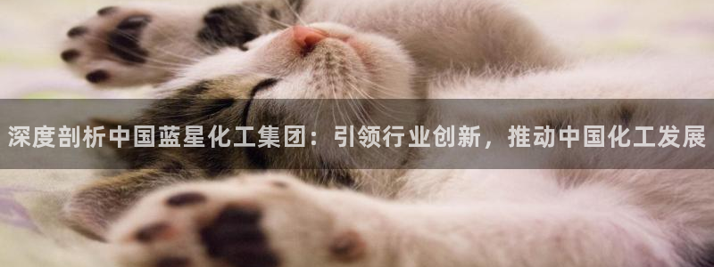 球盟会app入口