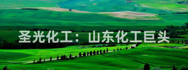 球盟会官方网址入口：圣光化工：山东化工巨头