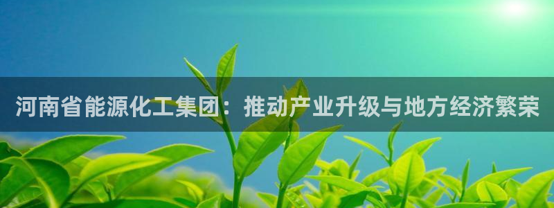 球盟会最新