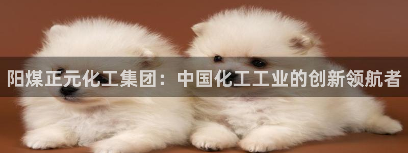 球盟会和中欧合作吗