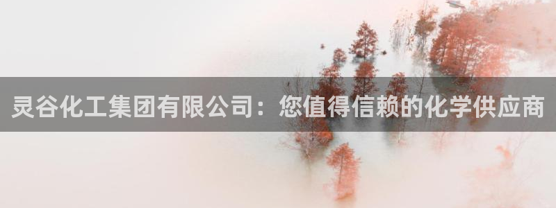 球盟会：灵谷化工集团有限公司：您值得信赖的化学供应商