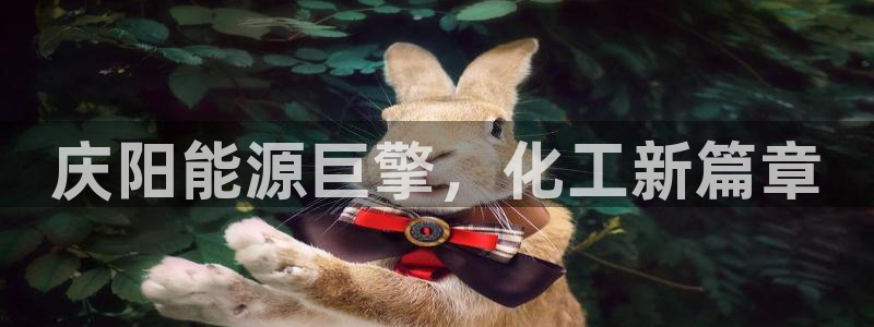 球盟会qmh网址：庆阳能源巨擎，化工新篇章