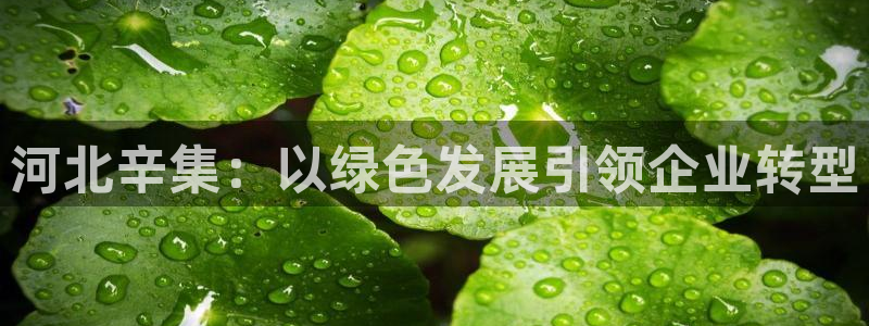 球盟会最新地址备用：河北辛集：以绿色发展引领企业转型