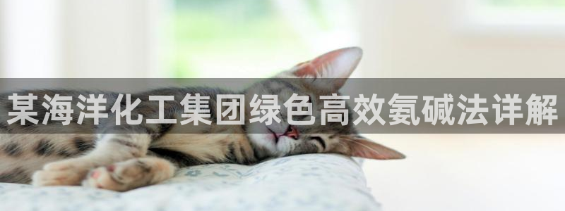 球盟会官方网站app
