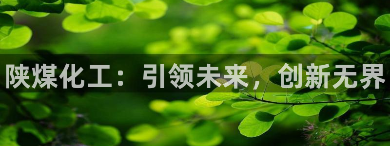 球盟会能提现吗安全吗：陕煤化工：引领未来，创新无界
