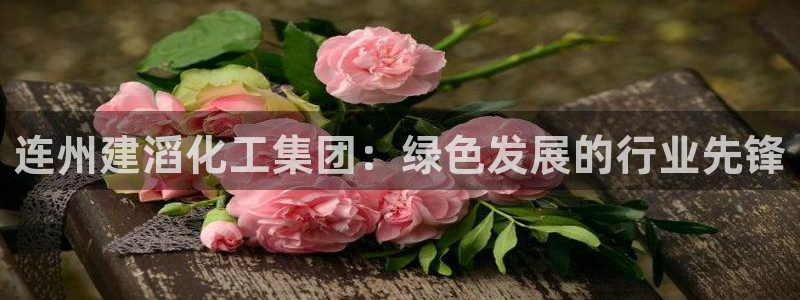 球盟会和中欧