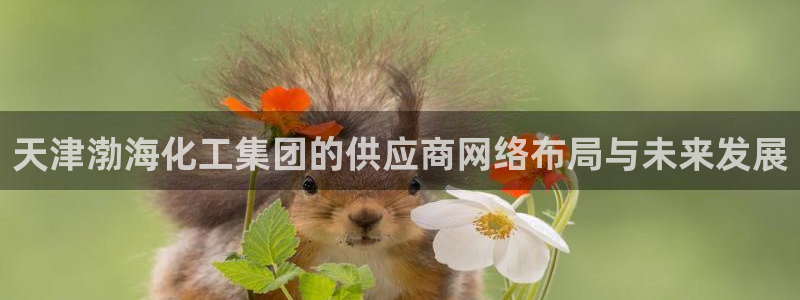 球盟会网页登录app下载地址：天津渤海化工集团的供应商网络布