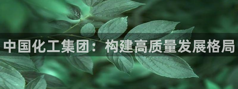 球盟会头号玩家：中国化工集团：构建高质量发展格局
