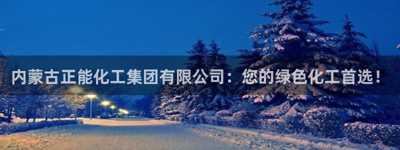 球盟会可靠不：内蒙古正能化工集团有限公司：您的绿色化工首选！