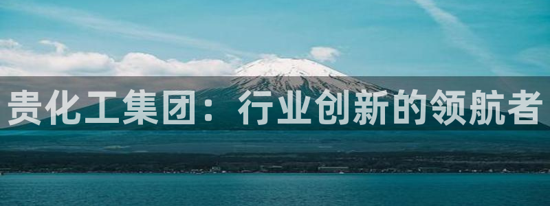 球盟会官网网页版：贵化工集团：行业创新的领航者