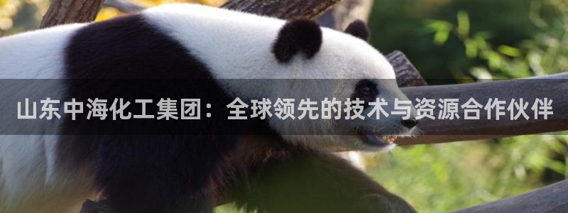 球盟会能提现吗