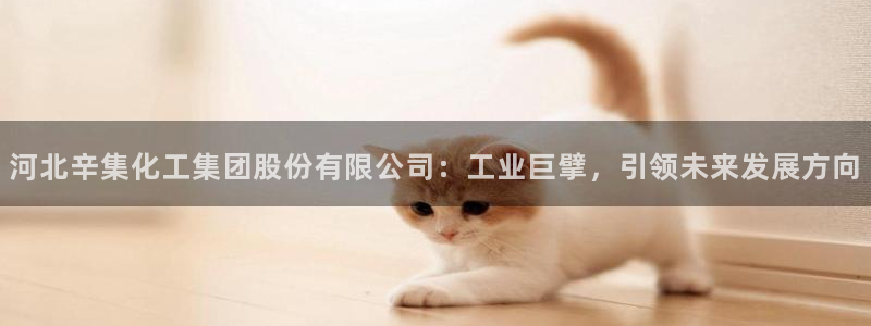 球盟会qmh电子网页版登录：河北辛集化工集团股份有限公司：工