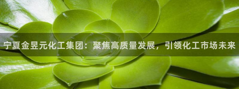 球盟会电子游戏平台：宁夏金昱元化工集团：聚焦高质量发展，引领
