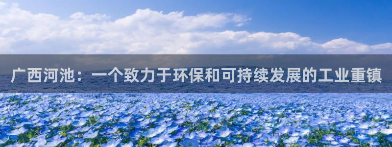 球盟会黑台子吗