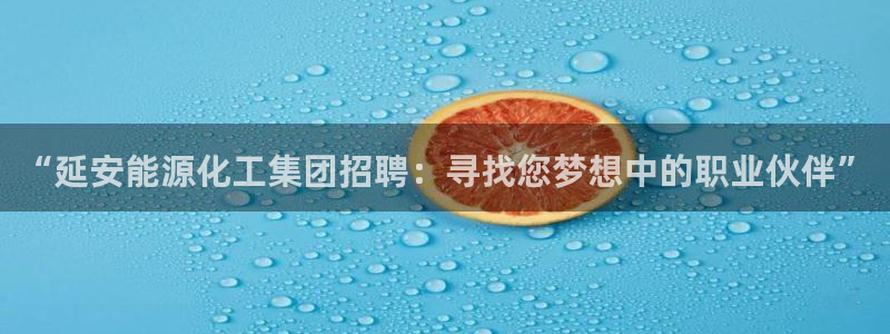 球盟会app入口