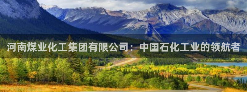 球盟会app手机登录：河南煤业化工集团有限公司：中国石化工业